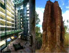 termite mounds inspired building
