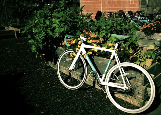 urban garden bike tour
