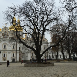 Babushka in Square