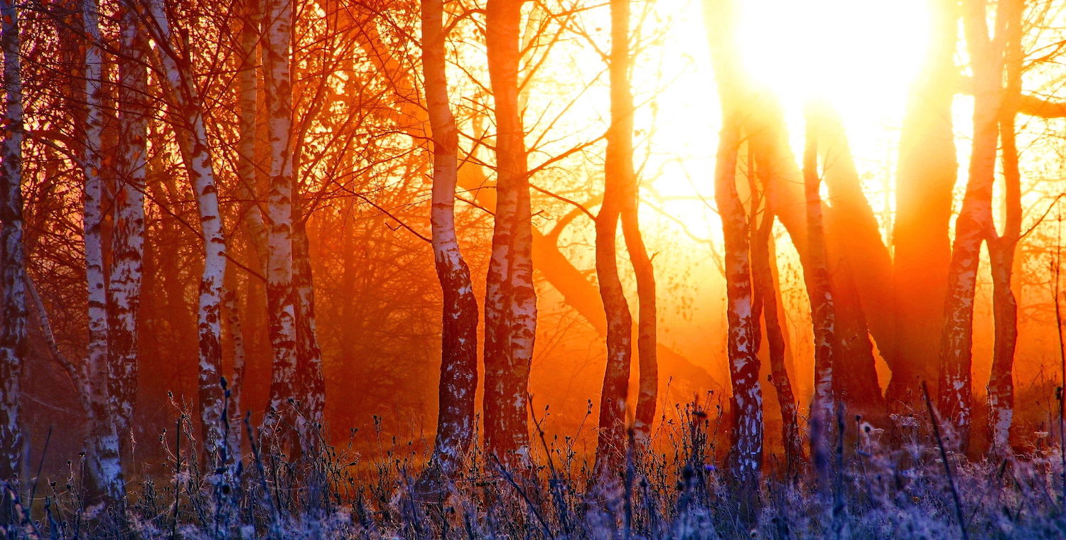 winter-sunset-nature-beautiful-header