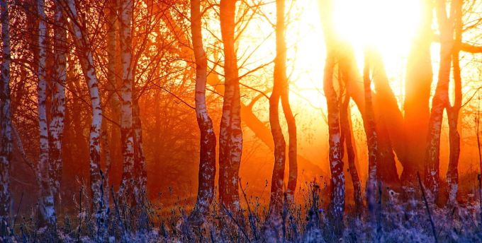 winter-sunset-nature-beautiful-header